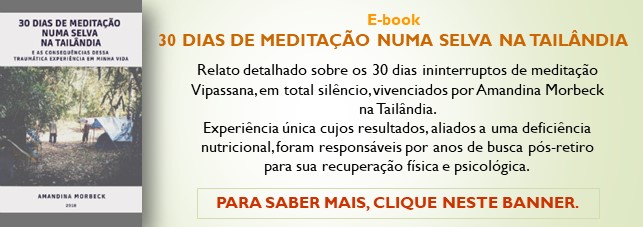 banner - 30 dias de meditação numa selva na tailândia - e-book